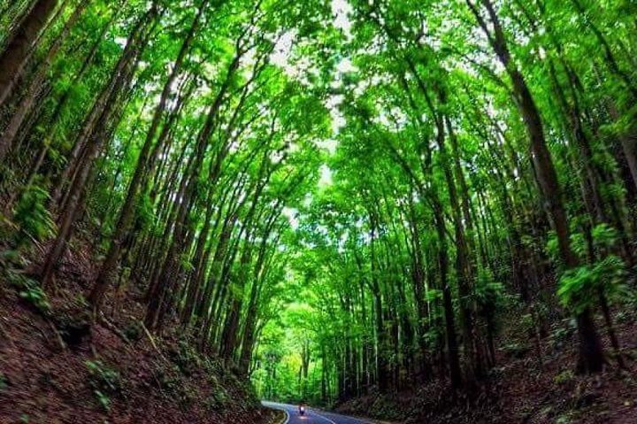 Philippines 7 Days Easy cycling in Bohol Island and Camiguin Tour